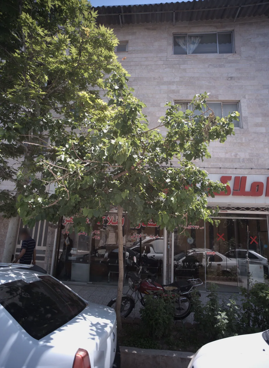 مشاور املاک مظاهر