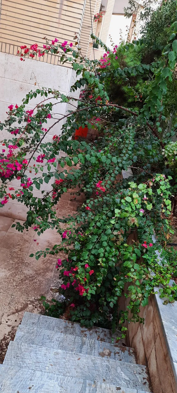 دبیرستان نمونه دولتی اصحاب کسا - تصویر 3
