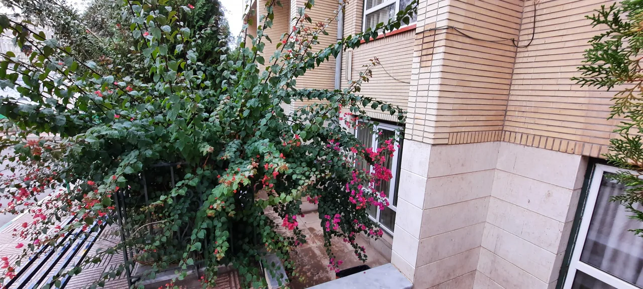 دبیرستان نمونه دولتی اصحاب کسا - تصویر 5