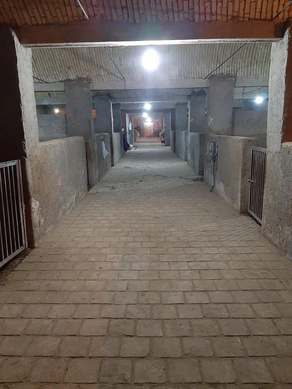 باشگاه پرورش وسوارکاری قربانرضایی - مجموعه و سالن ورزشی در یزد - تصویر 4