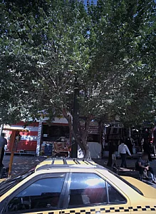 پارچه فروشی