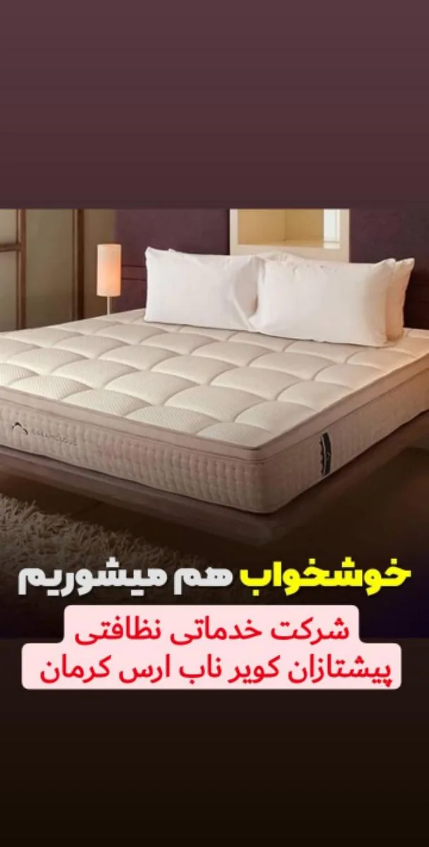 شرکت خدماتی نظافتی ومبلشویی ارس - پیمانکاری ساختمان در کرمان - تصویر 4