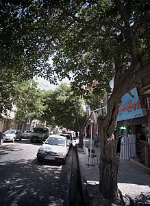 پارچه فروشی قماش منسا