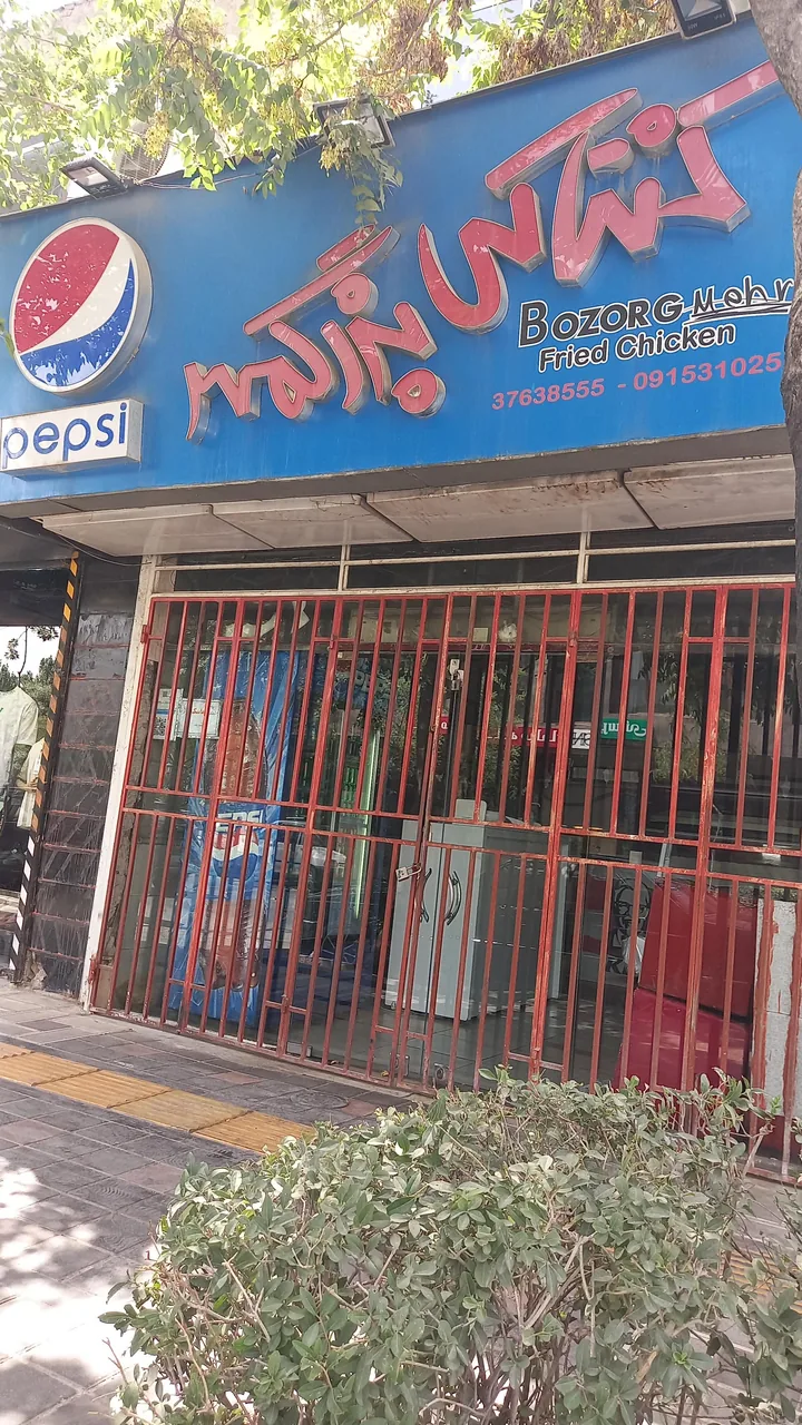 مرغ کنتاکی بزرگمهر