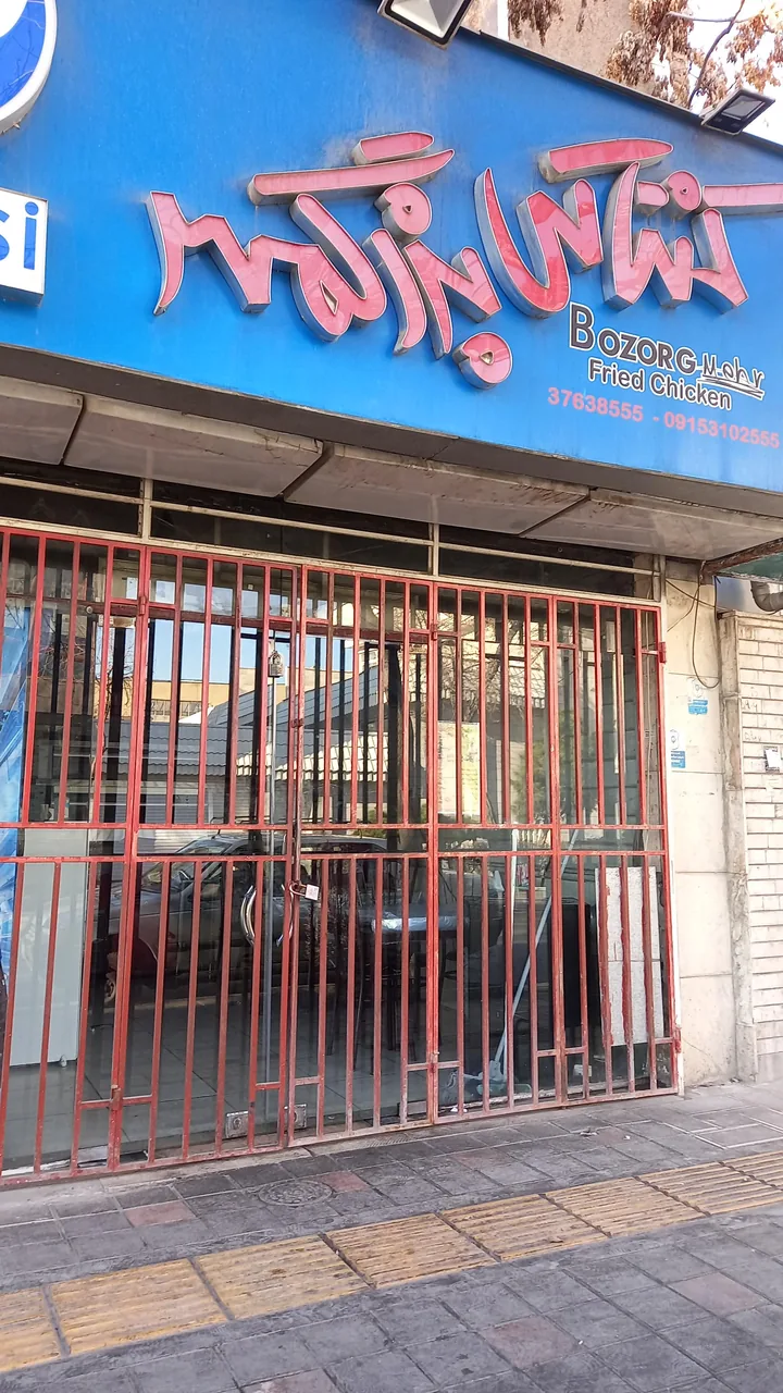 مرغ کنتاکی بزرگمهر - تصویر 2