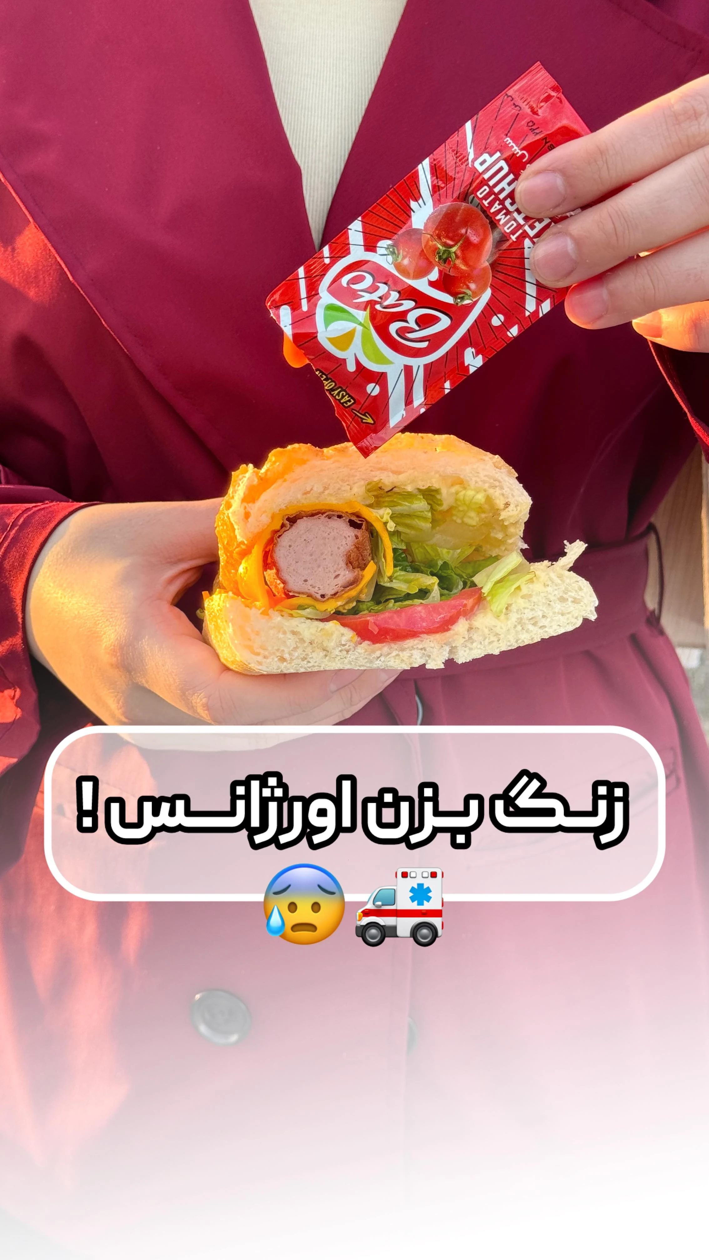 مرغ سوخاری کارو - تصویر 2