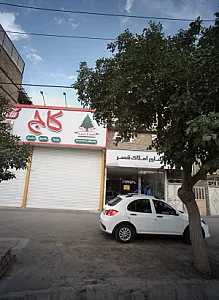 پیتزا کاج