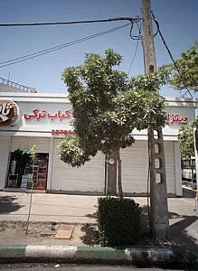 پیتزا ثانی