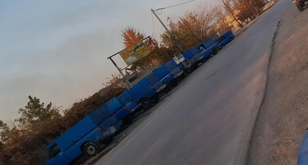 باربری صادقی