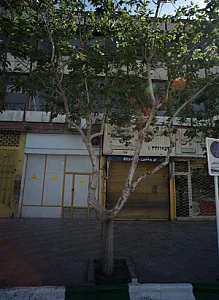 ساندویچ تمیز