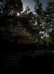فست فود تاکسی
