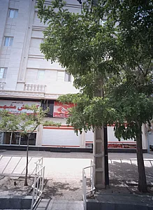 خانه کتلت