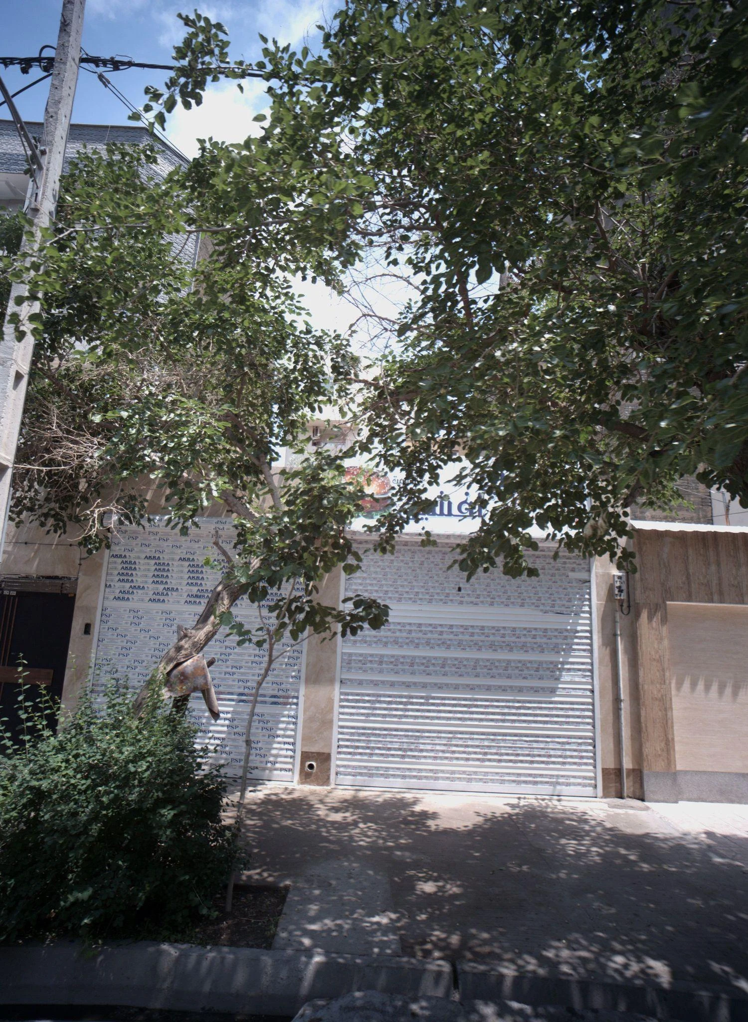 ساندویچ افشین