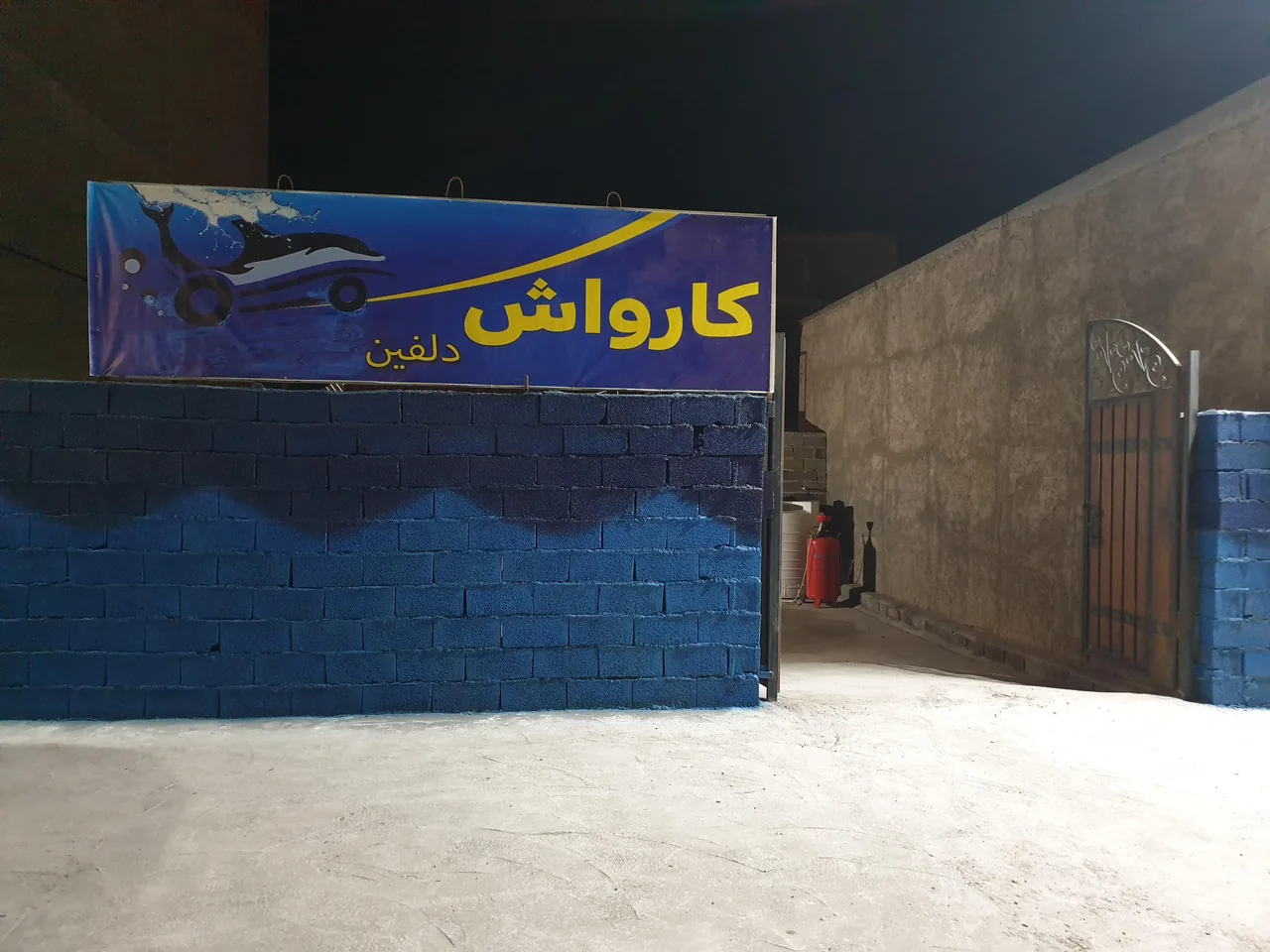 کارواش دلفین