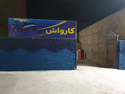 کارواش دلفین