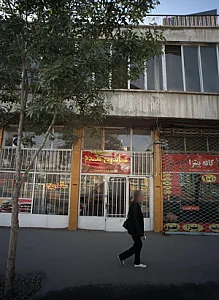 ساندویچ مقدم
