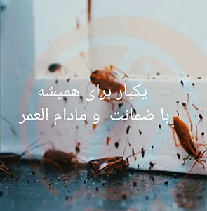 سم سوسک کابینت ، تضمینی و مرجوعی پرداختی