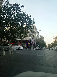 پیتزا ساندویچ سحر