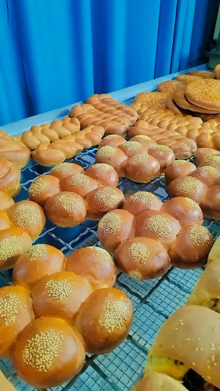 کارگاه نان فانتزی و پروتئینی هامین - تصویر 2