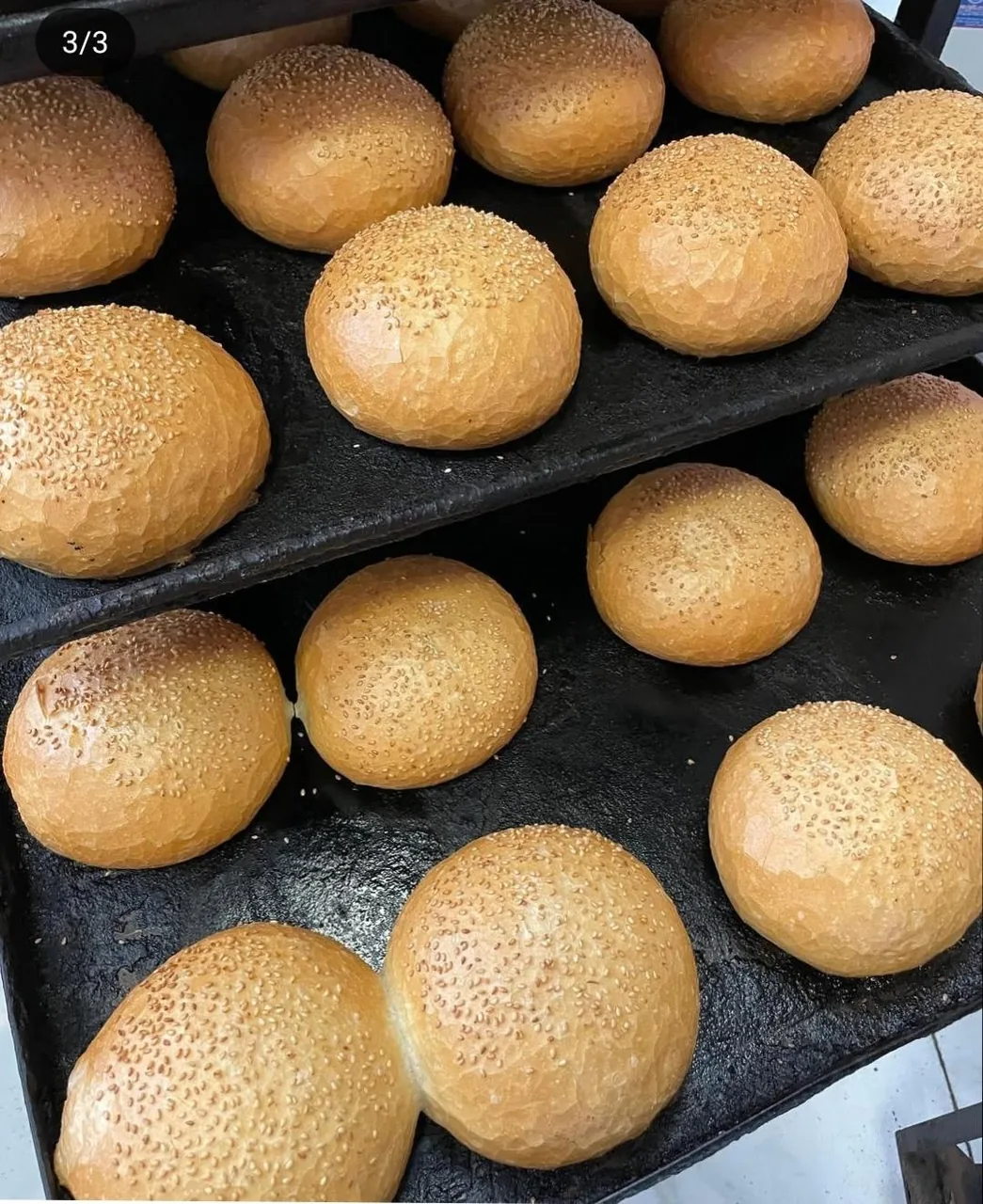 کارگاه نان فانتزی و پروتئینی هامین - تصویر 3