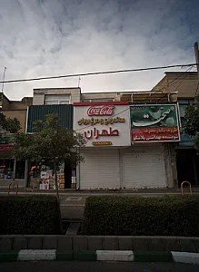 ساندویچ و مرغ بریان طهران