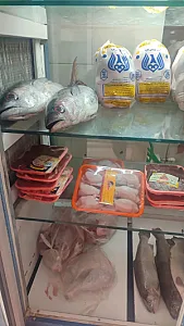 مرغ و ماهی جوجه طلایی