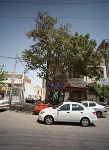 فست فود منو ساندویچ هام هام