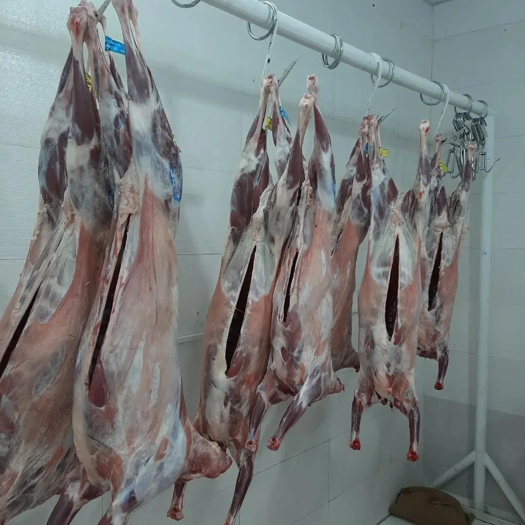 سوپر گوشت‌ فیروزآبادی - تصویر 3