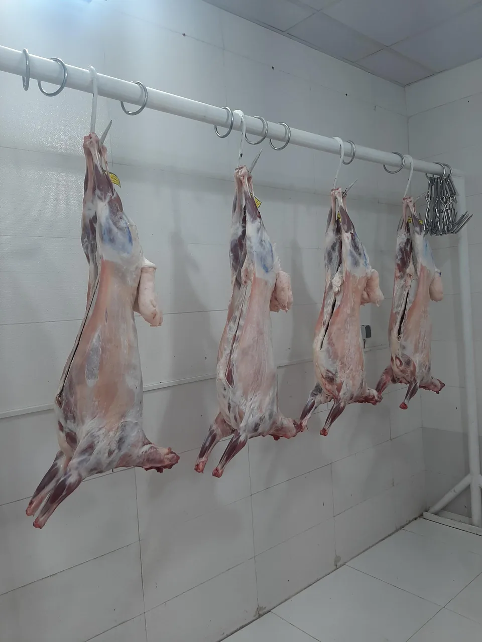 سوپر گوشت‌ فیروزآبادی - تصویر 4