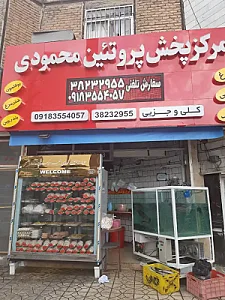 پروتئینی برادران محمودی