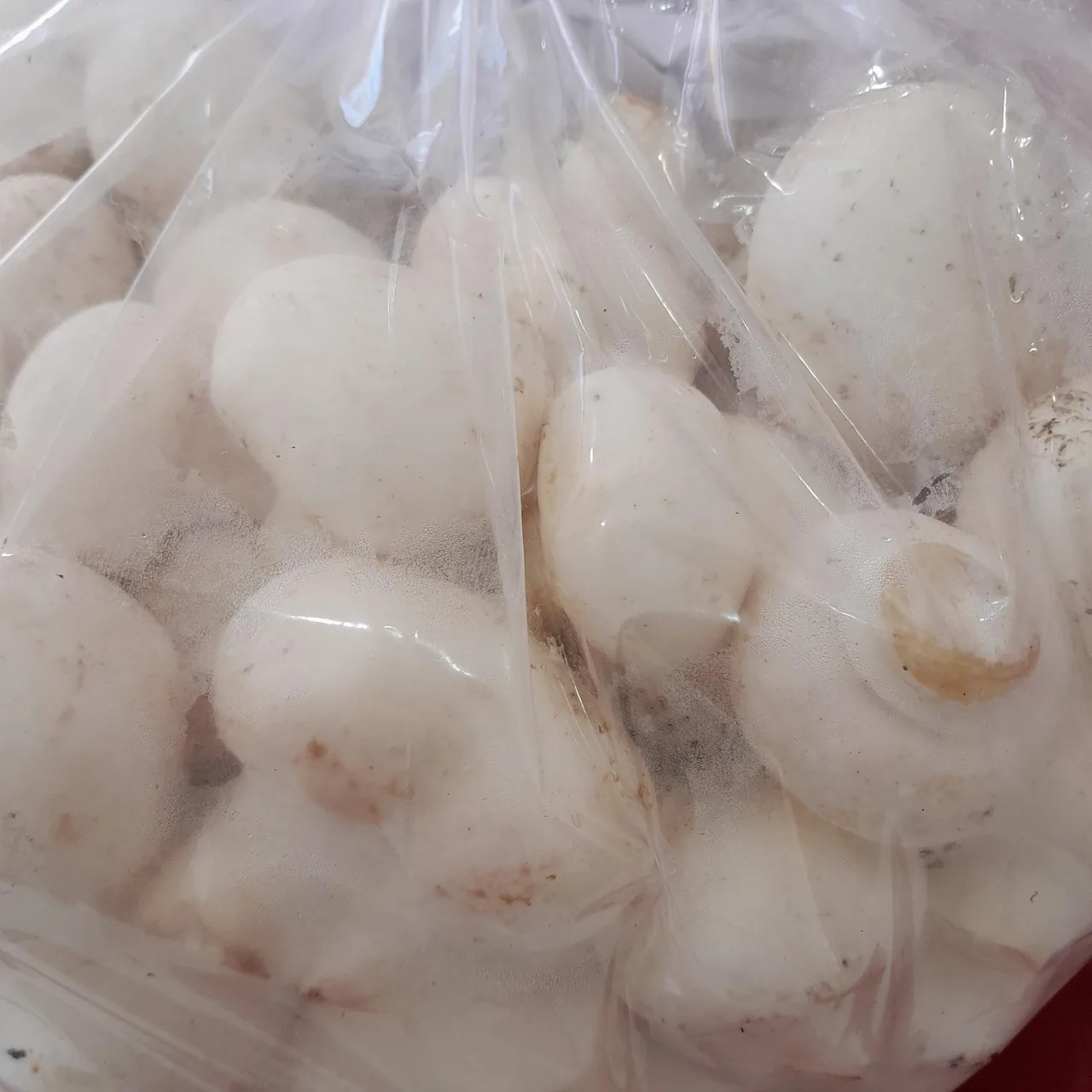 مرغ و گوشت صدیقی - تصویر 5
