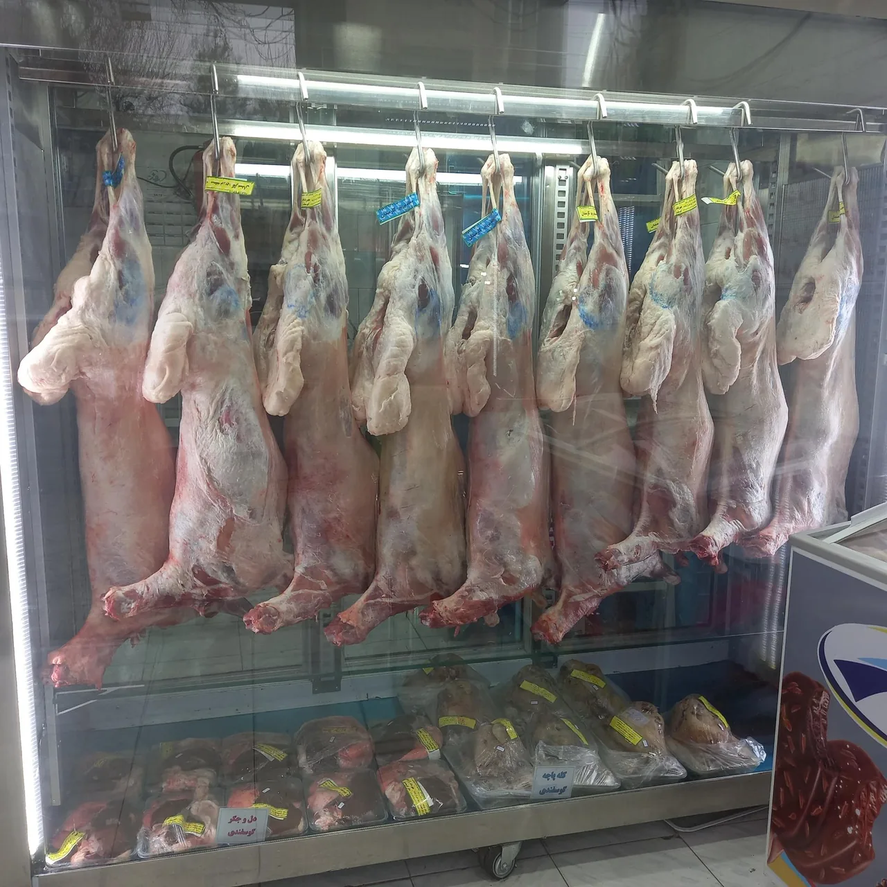 سوپر پروتئین زارعی - تصویر 3