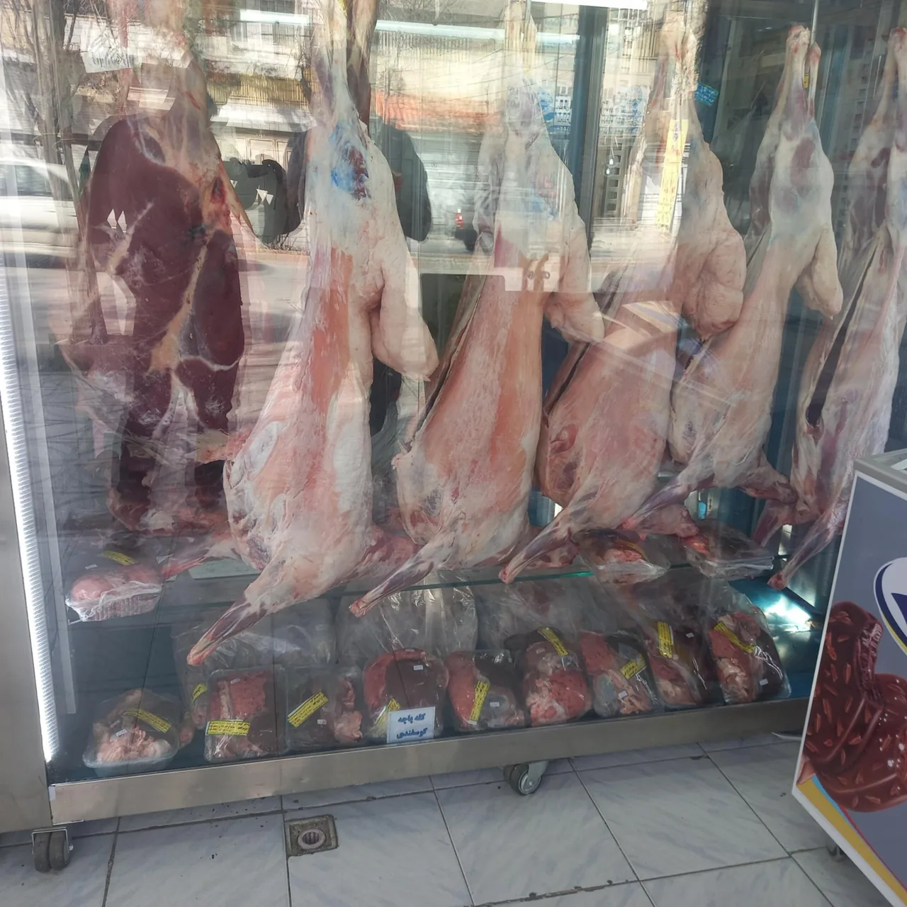 سوپر پروتئین زارعی - تصویر 4