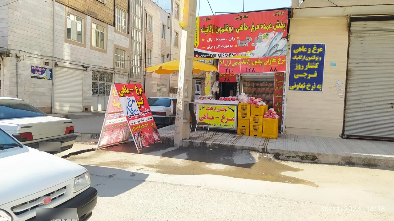 مرغ و ماهی فرجی - تصویر 2