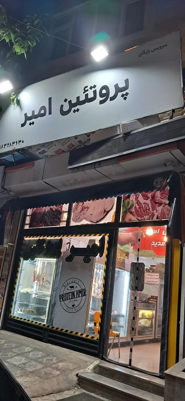پروتئین امیر