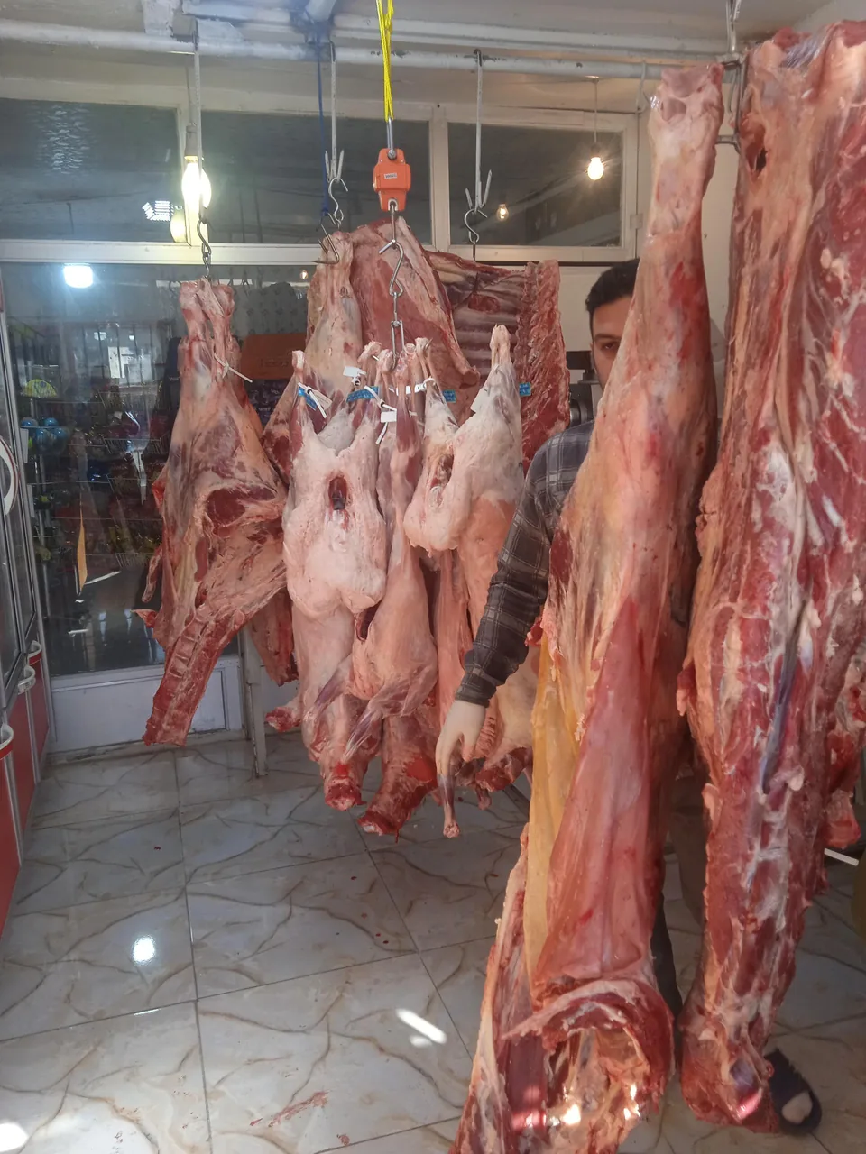 قصابی و پروتئینی حسین پور - تصویر 2
