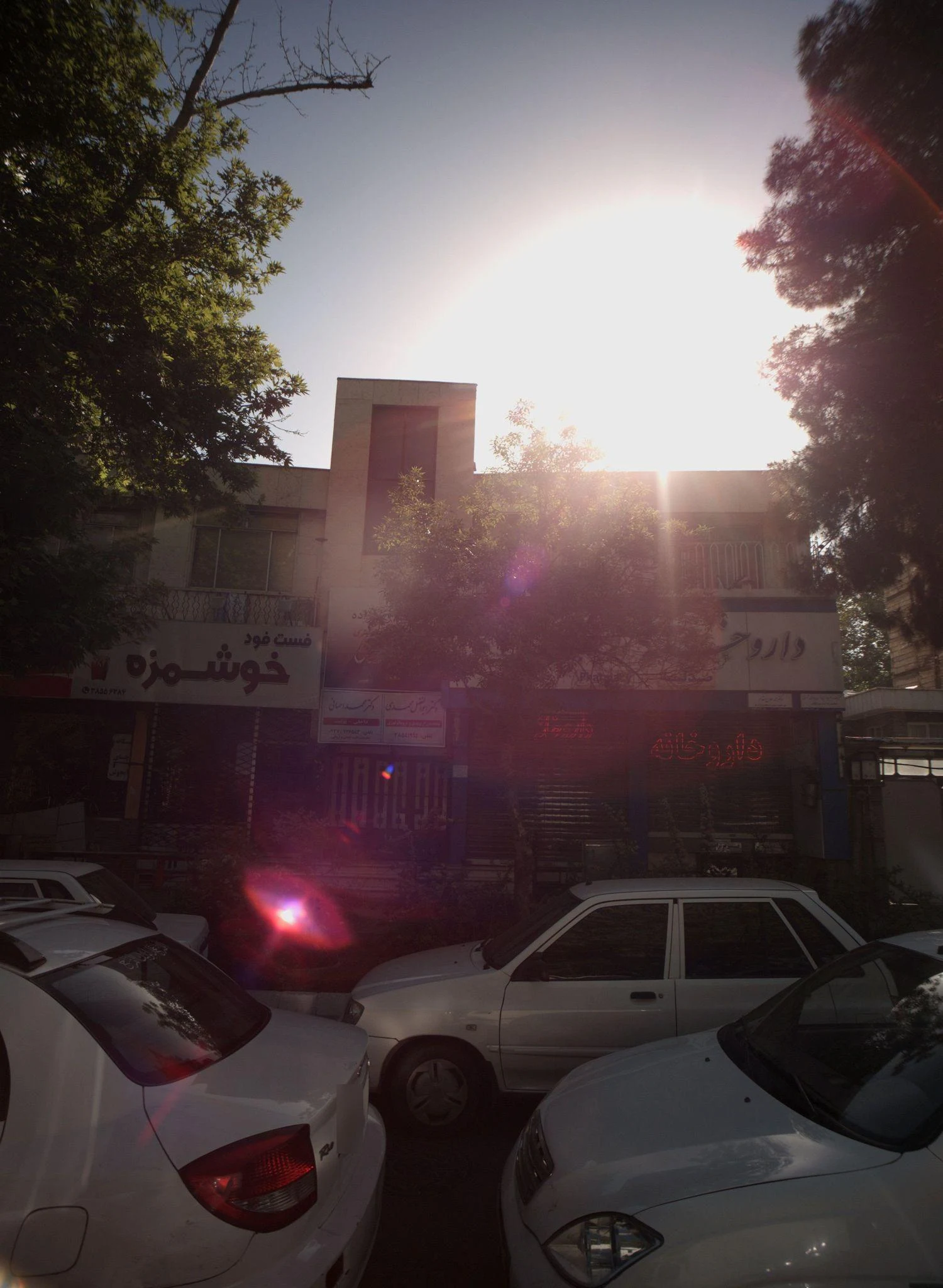 فست فود خوشمزه - فست فود در مشهد