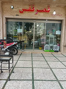 قصر قفس