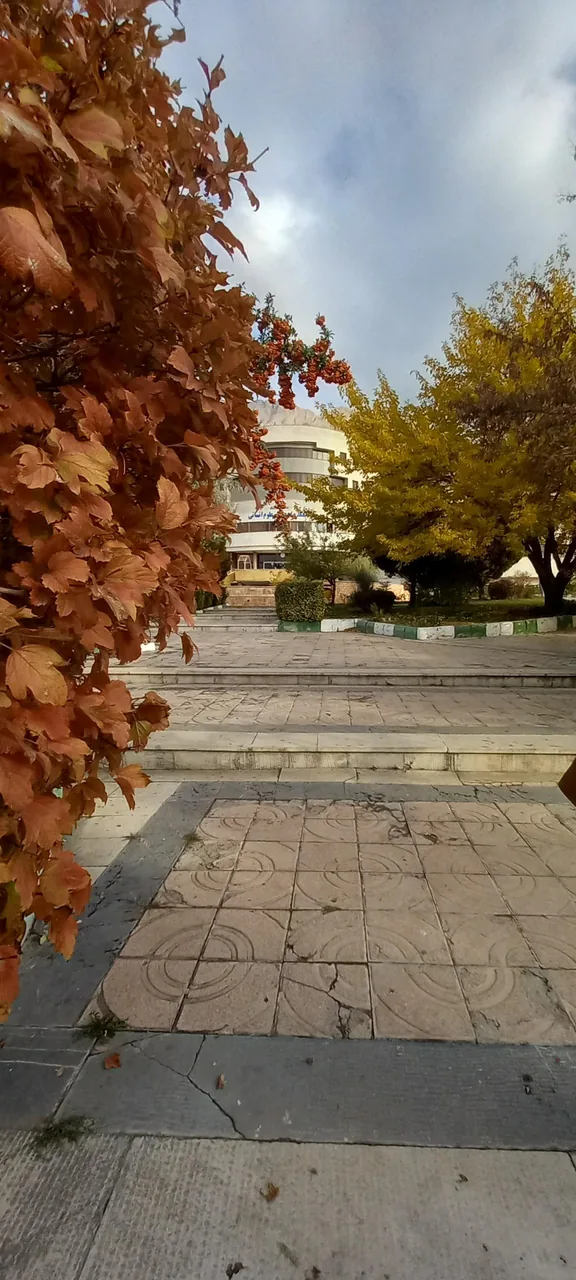 دانشکده ادبیات و علوم انسانی دانشگاه رازی - تصویر 2