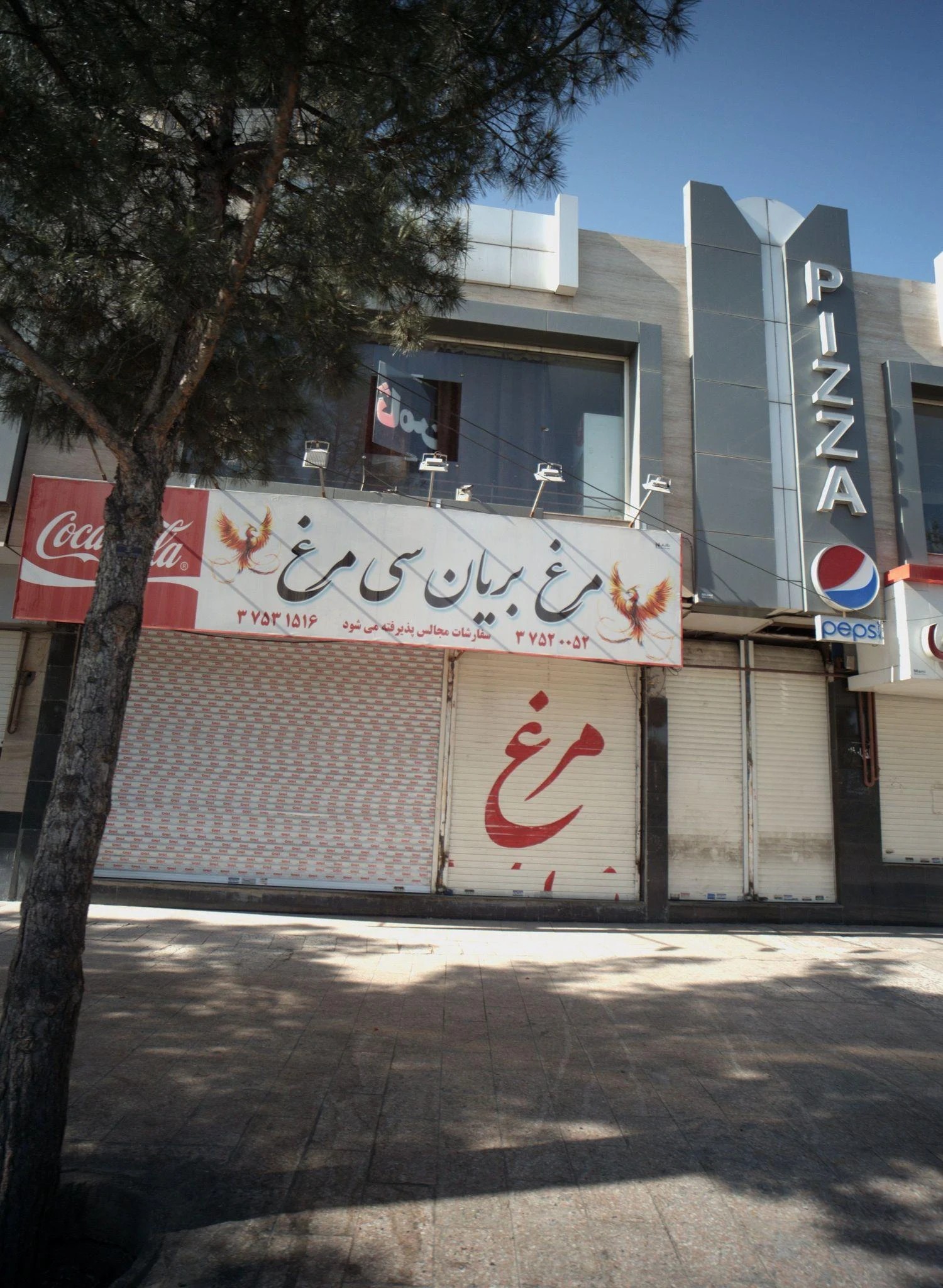 مرغ بریان سی مرغ - کبابی و چلوکبابی در مشهد