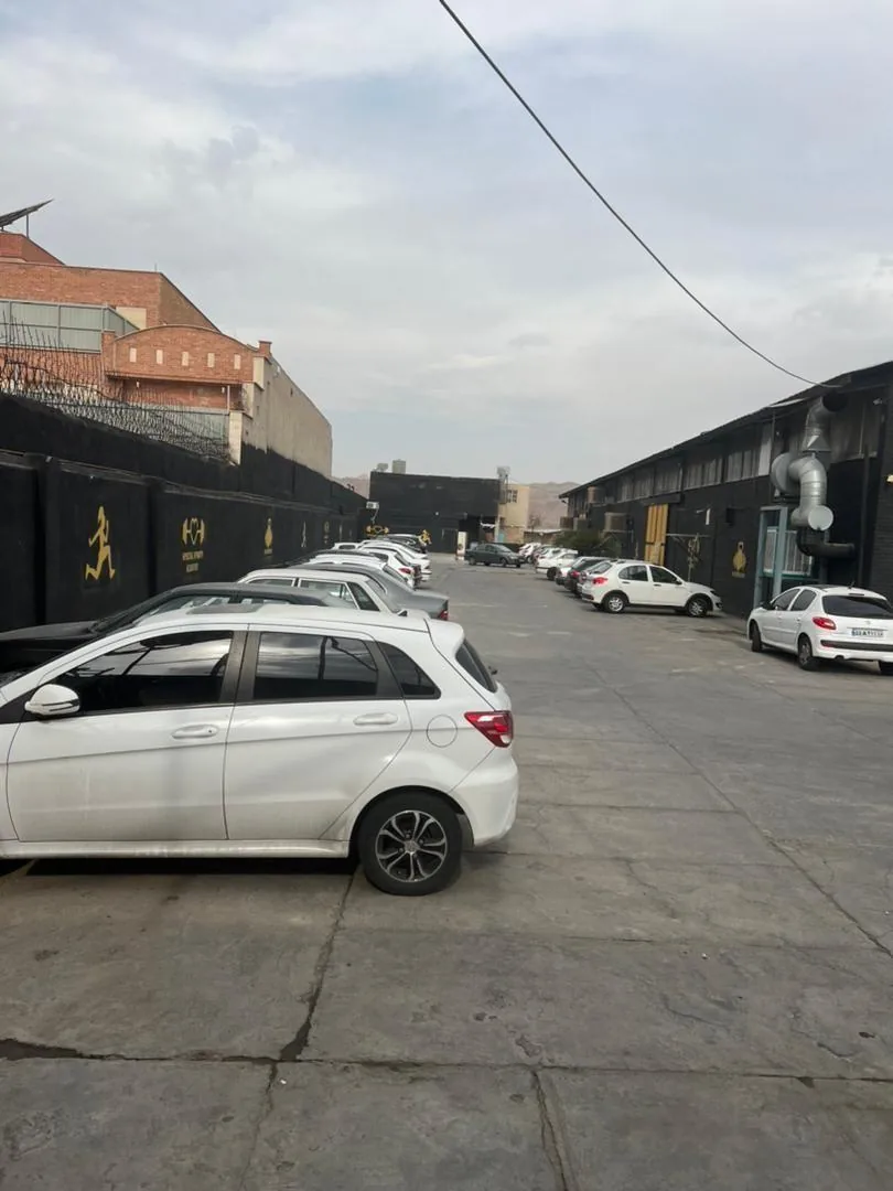 آکادمی ورزشی خاص ویژه بانوان - تصویر 5