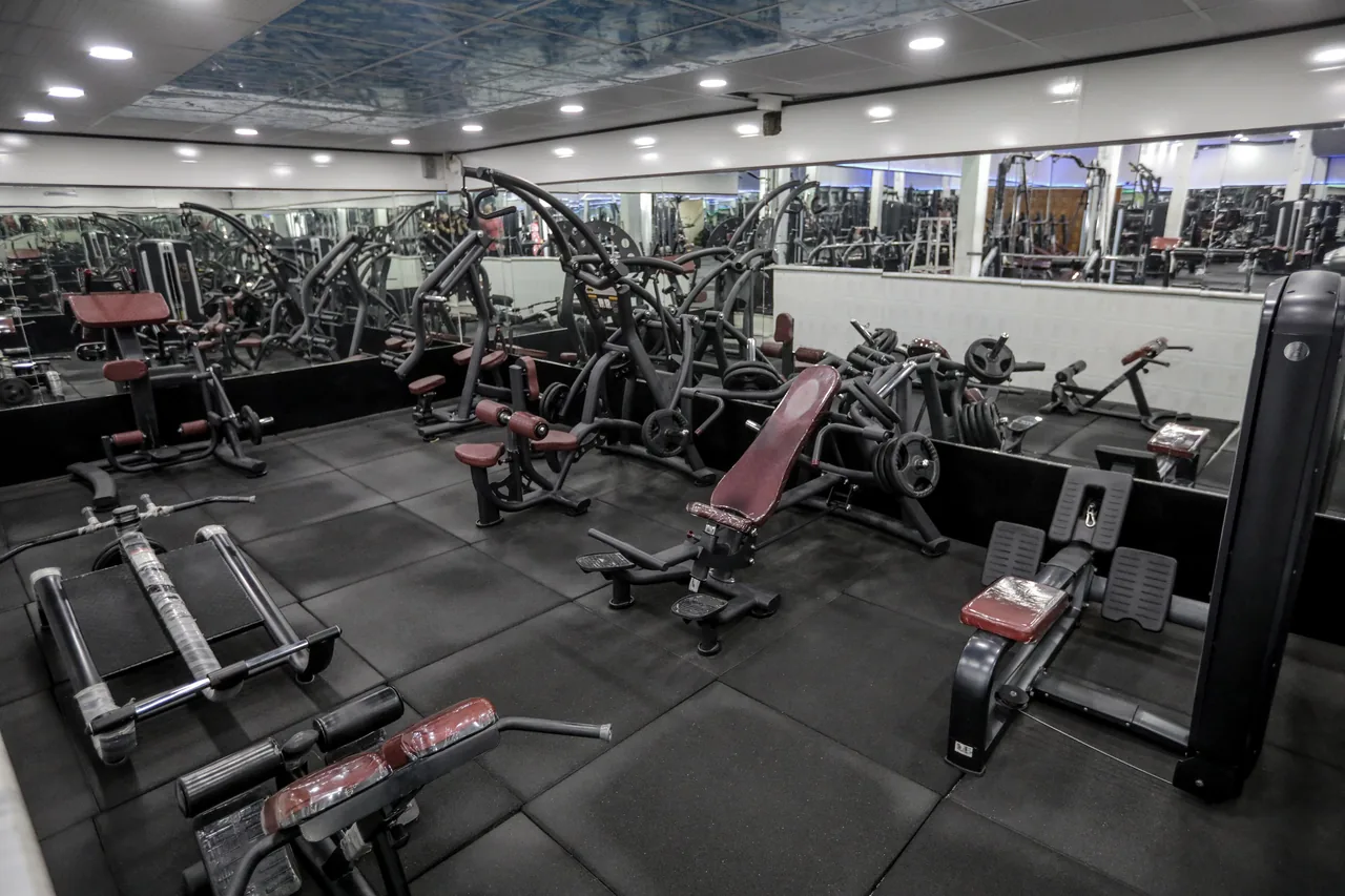 باشگاه بدنسازی مجید  Gym Majid