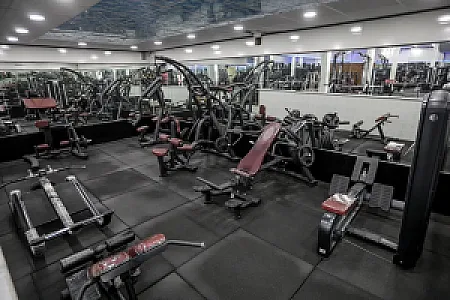 باشگاه بدنسازی مجید  Gym Majid