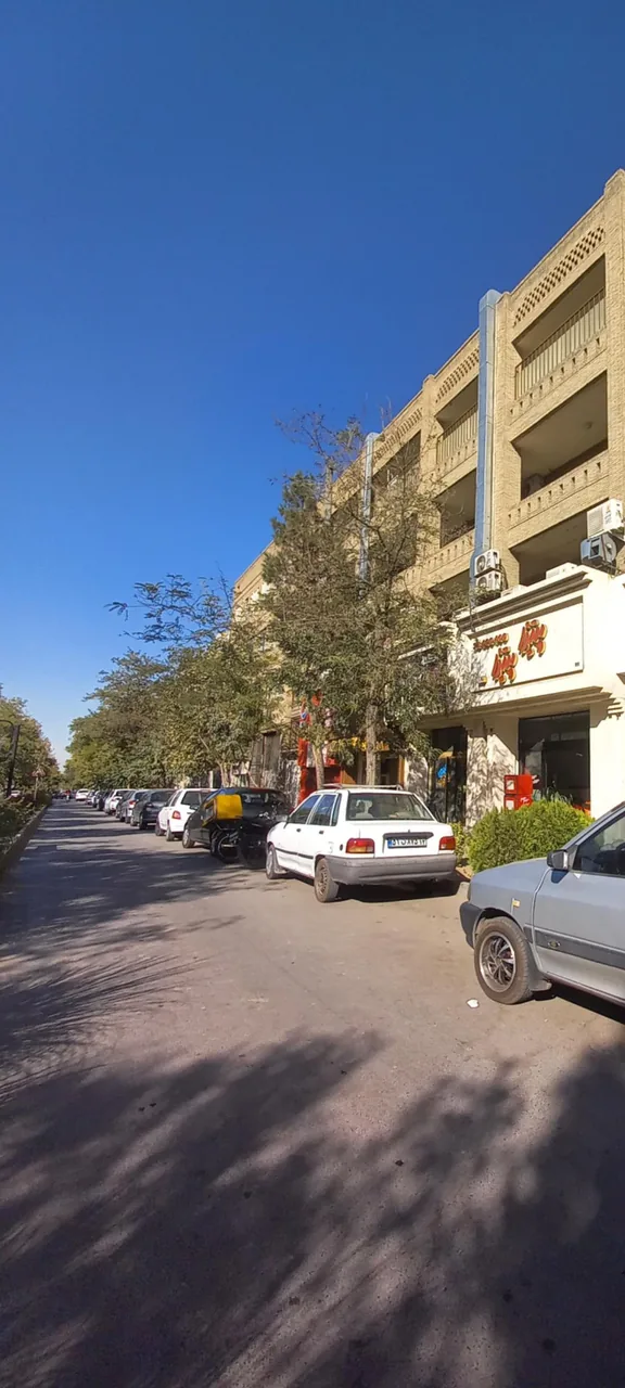 پیتزا پیتزا