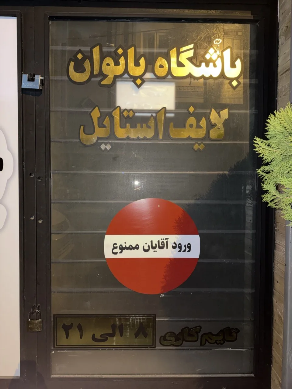 لایف استایل تیم - تصویر 4
