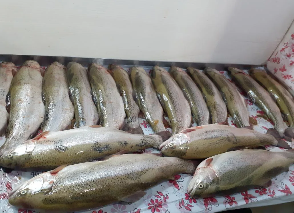 سوپر گوشت متین - تصویر 2
