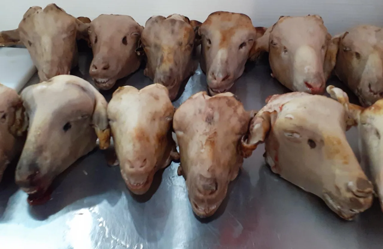 سوپر گوشت متین - تصویر 3