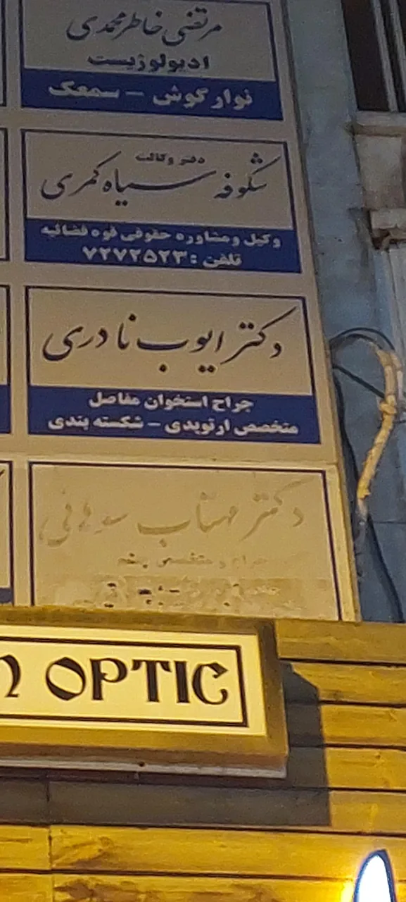 دکتر ایوب نادری - تصویر 2
