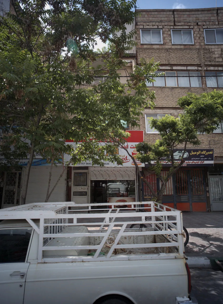فست فود قارچ طلایی
