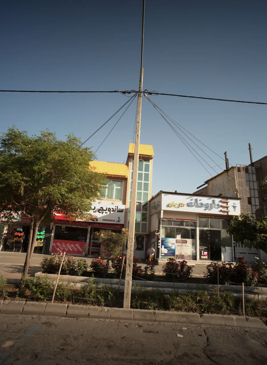 ساندویچ یکتا
